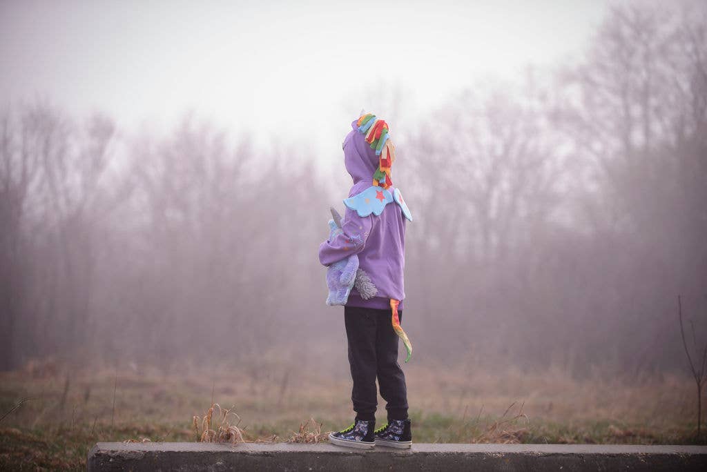 Purple Rainbow Unicorn 3D Hoodie